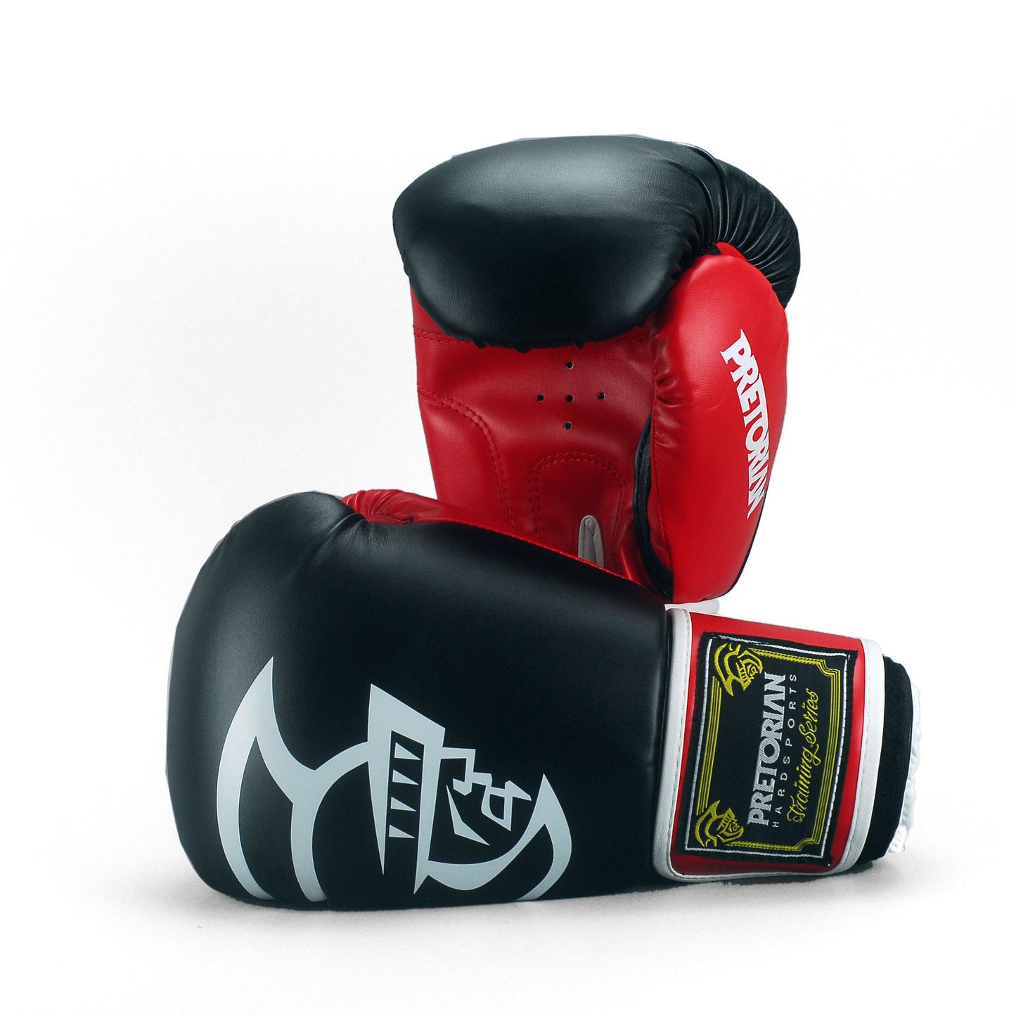 SPARTAK PRETORIAN boxing gloves
