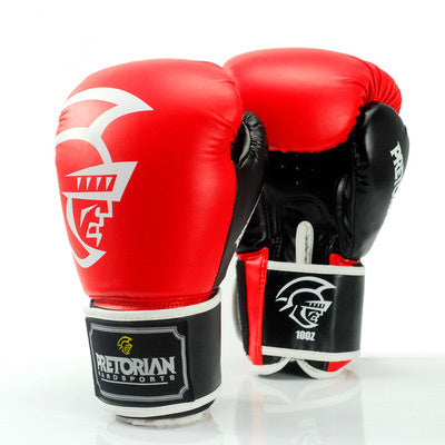 SPARTAK PRETORIAN boxing gloves