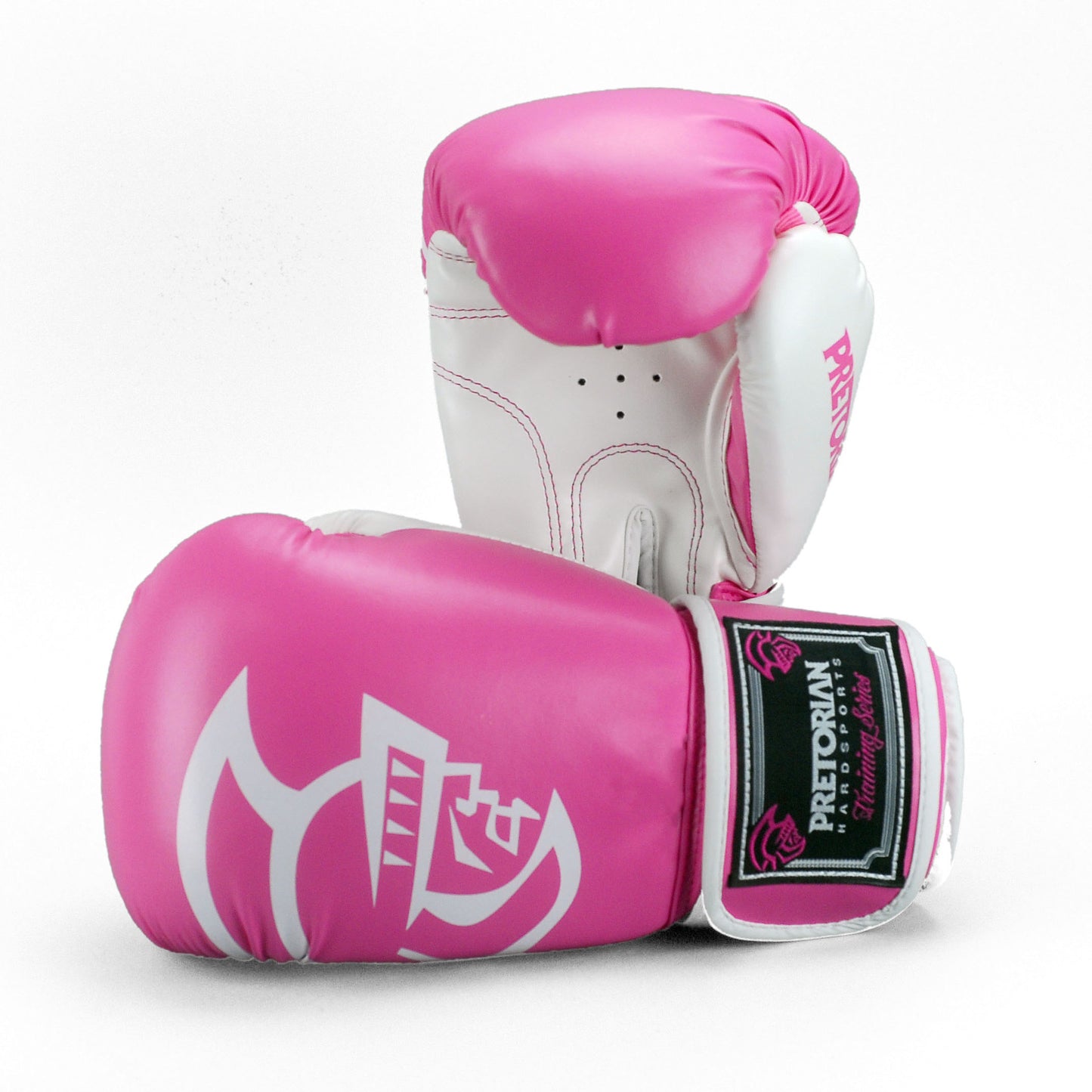 SPARTAK PRETORIAN boxing gloves
